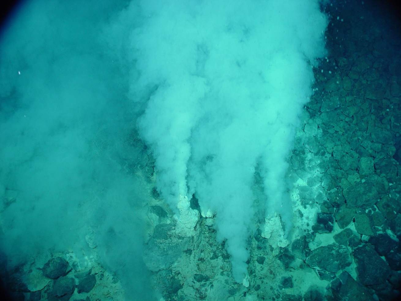 Hydrothermal vents imaged by the U.S. National Oceanic and Atmospheric Administration