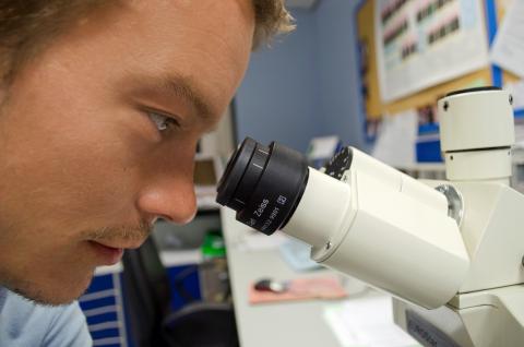 Young scientist